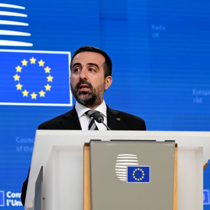 Nicholas A. Ioannides