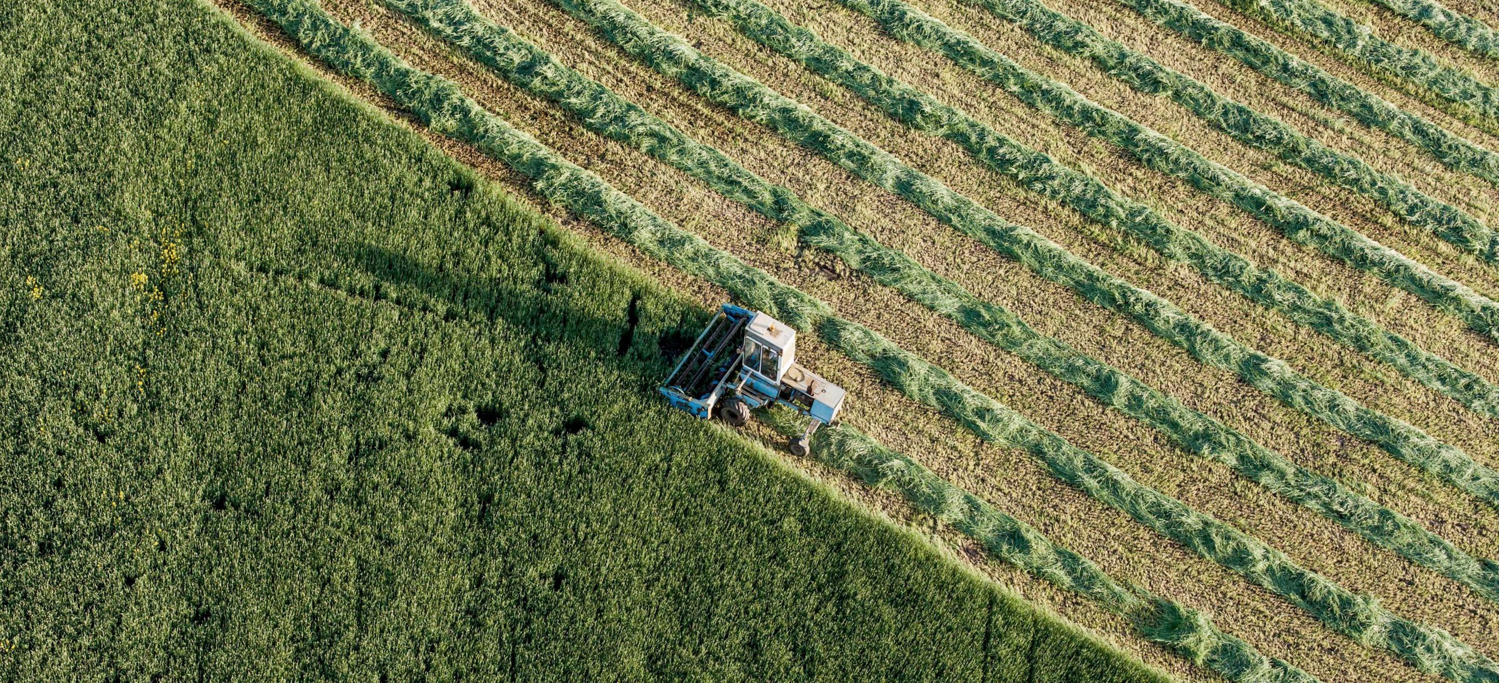 aerial view of harvest fields with combine