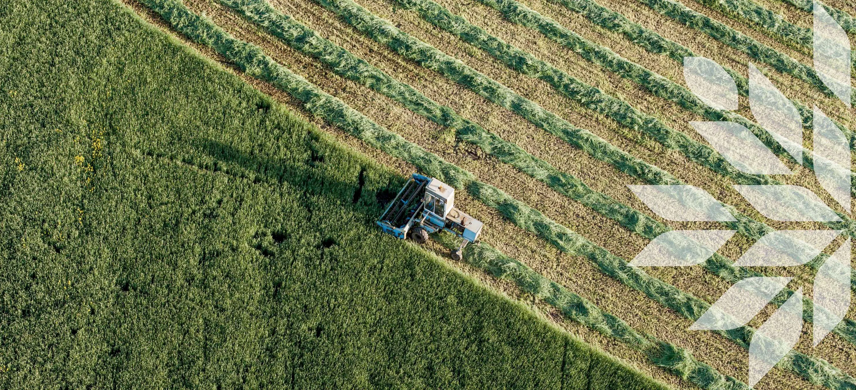 aerial view of harvest fields with combine