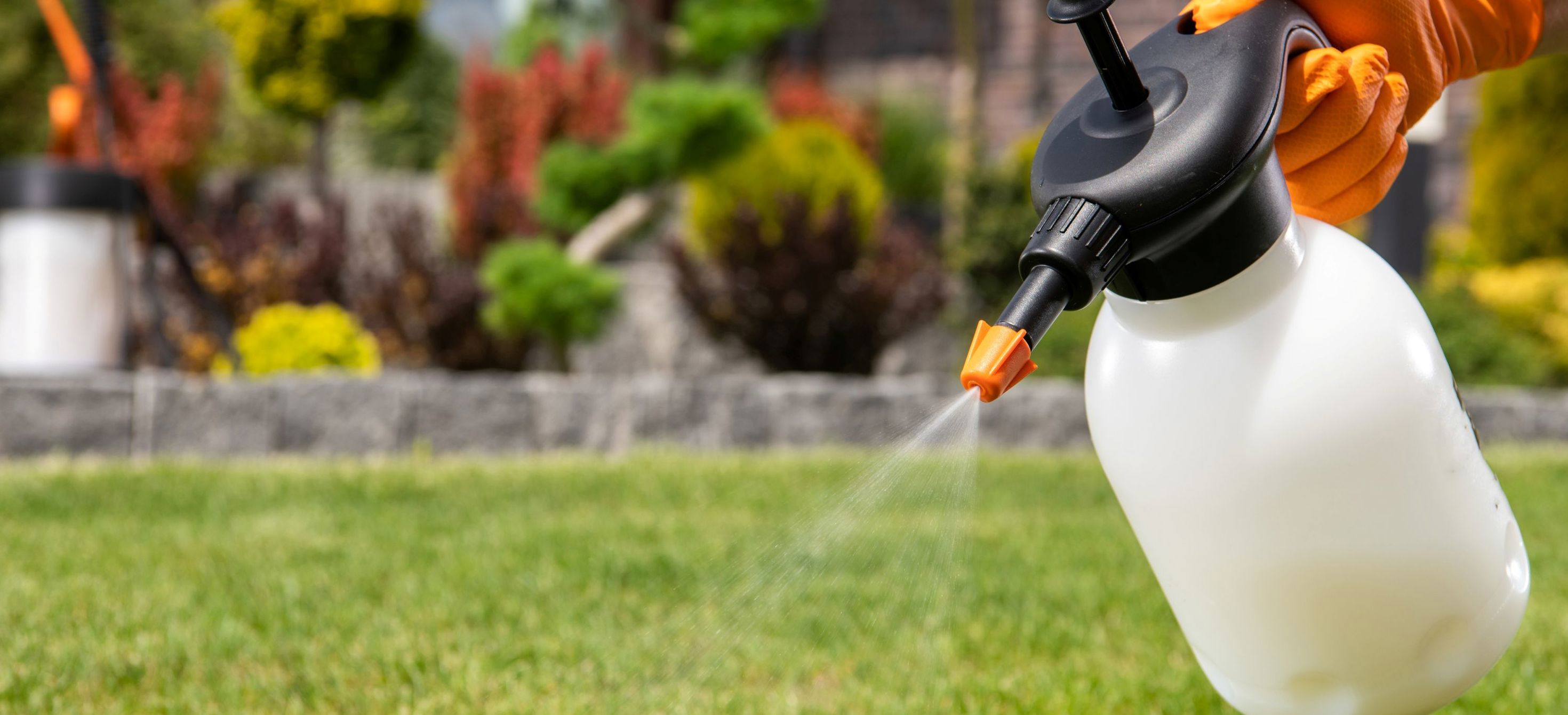 spray
