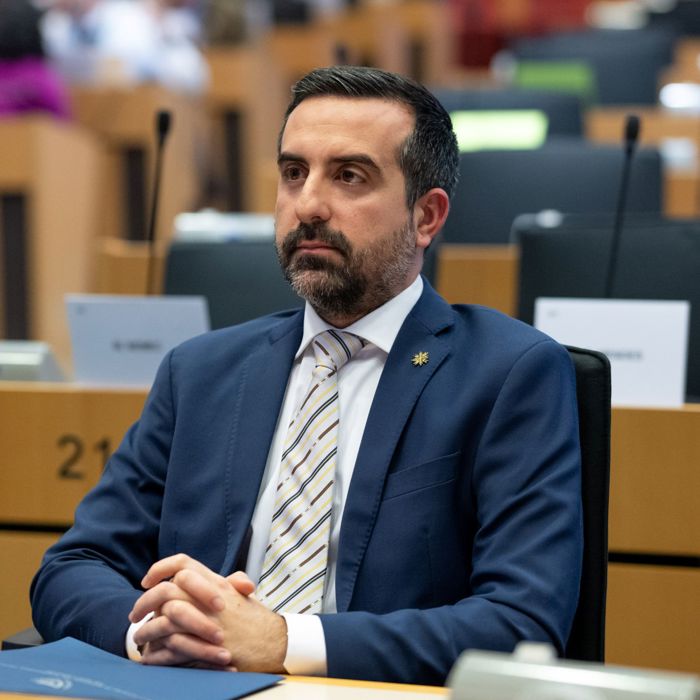 Nicholas A. Ioannides