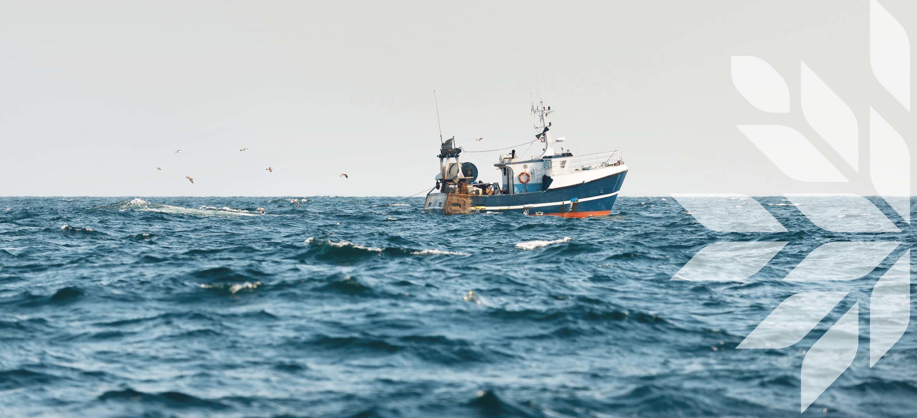 Small fishing boat sailing in an open Mediterranean sea, close-up