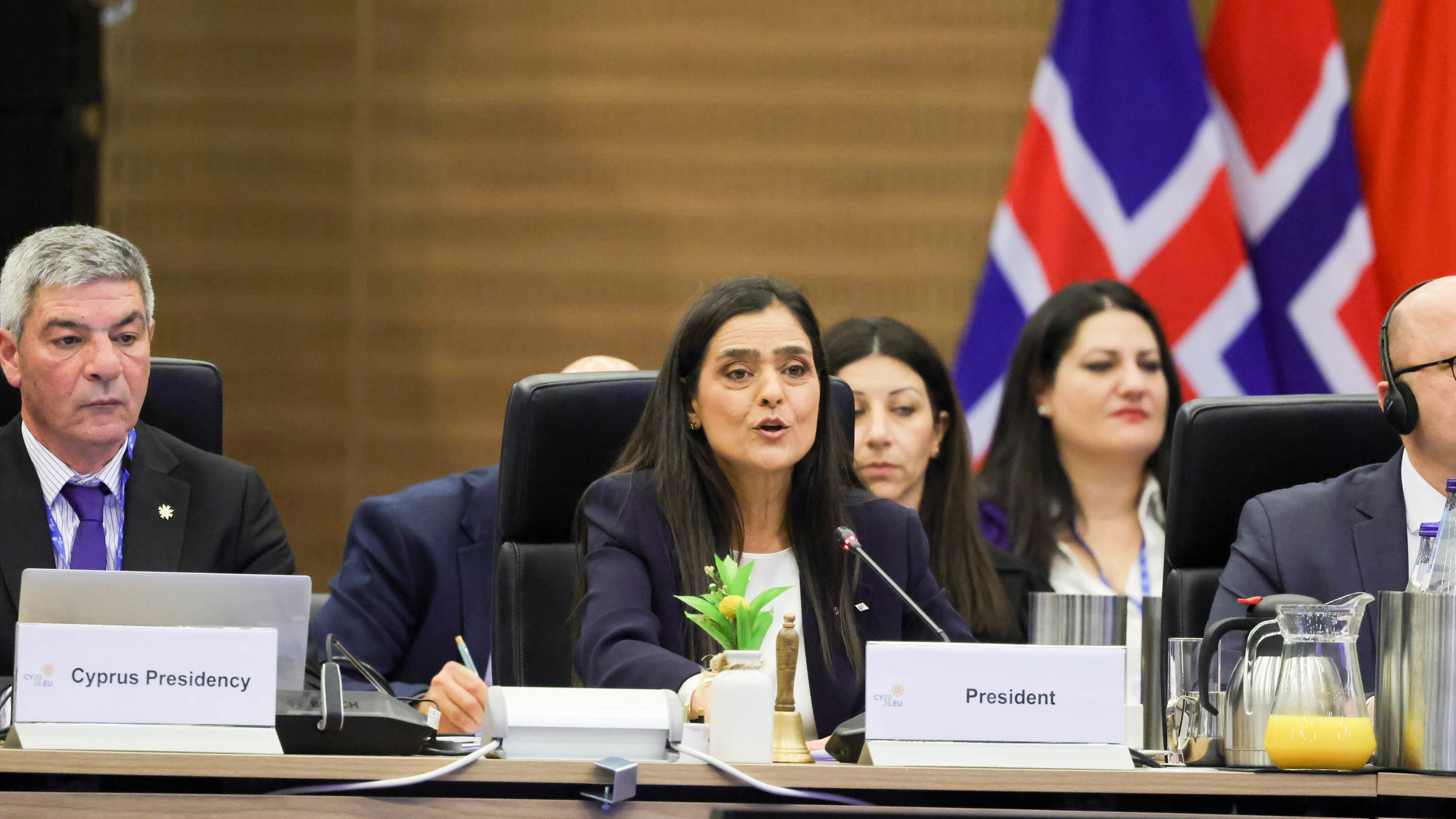 Deputy Minister of Social Welfare of the Republic of Cyprus, Ms Clea Papaellina