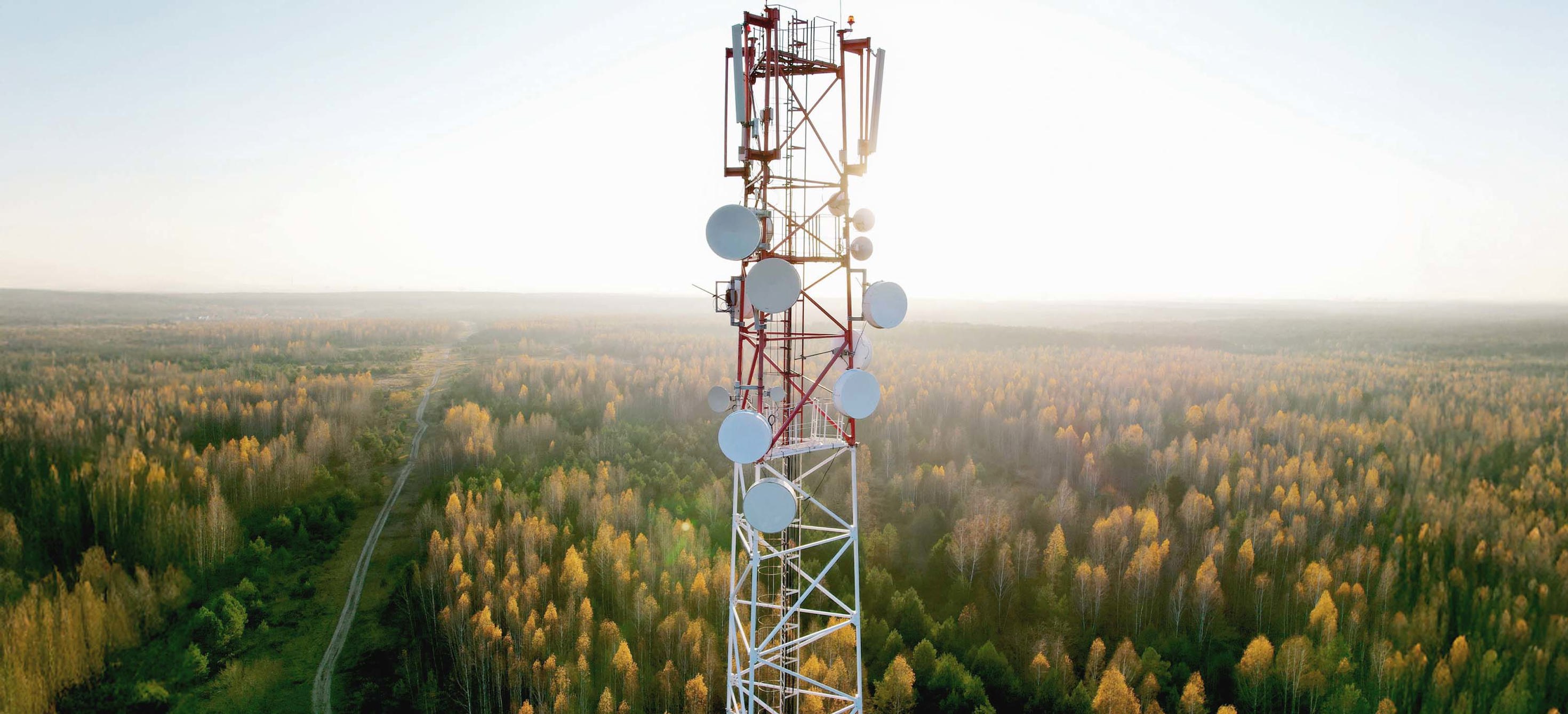 Cellular site and telecom base station