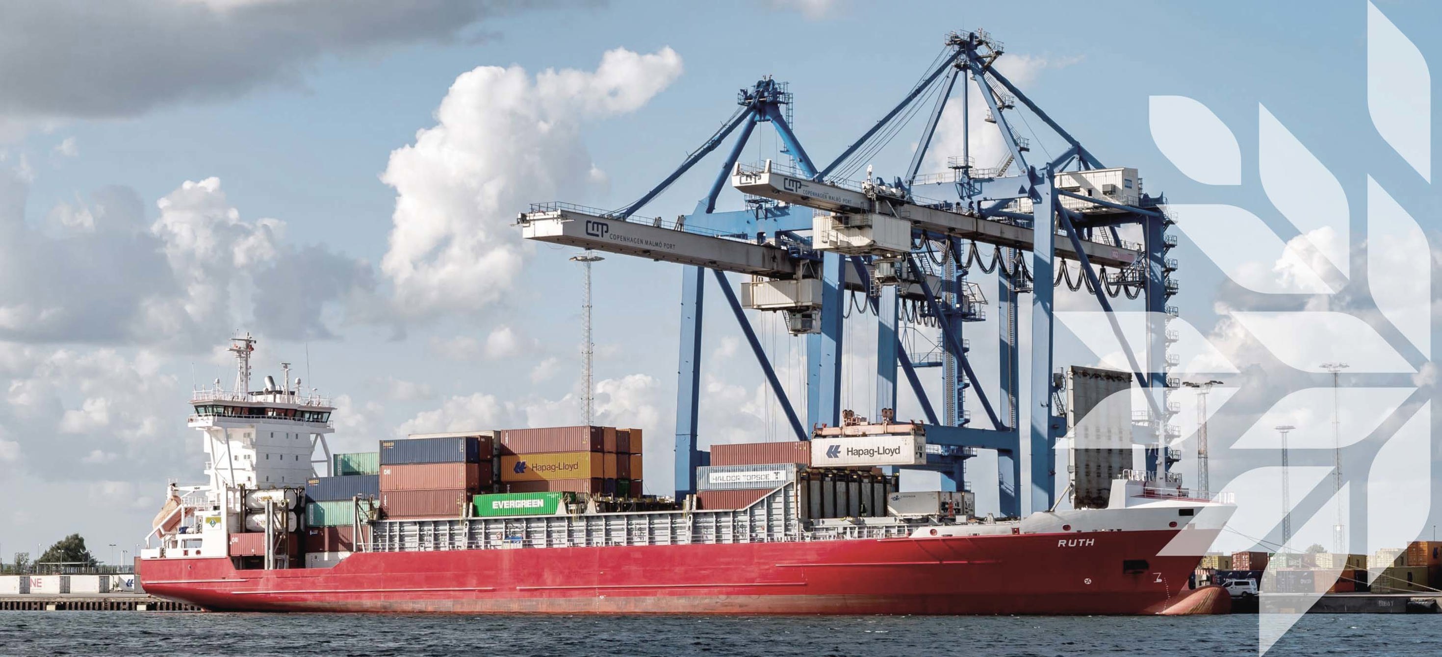 Container ship at a port with loading cranes 